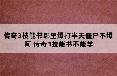 传奇3技能书哪里爆打半天僵尸不爆阿 传奇3技能书不能学